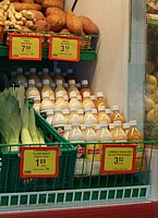 Pleksiportaat